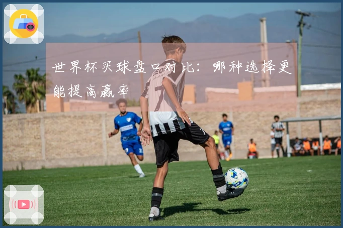 世界杯买球盘口对比：哪种选择更能提高赢率