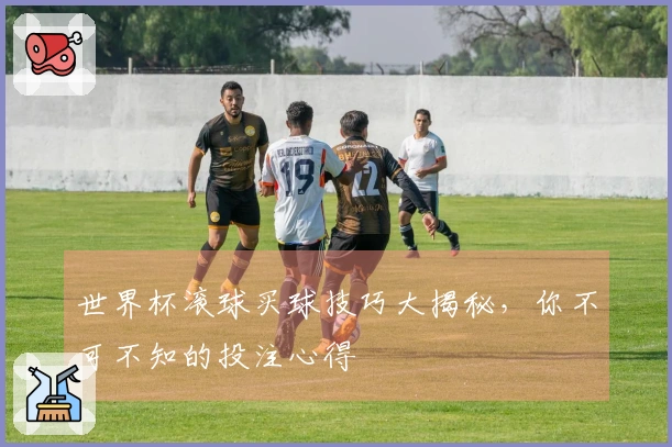 世界杯滚球买球技巧大揭秘，你不可不知的投注心得
