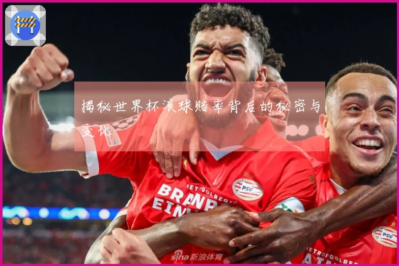 揭秘世界杯滚球赔率背后的秘密与变化