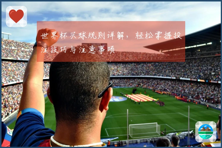 世界杯买球规则详解，轻松掌握投注技巧与注意事项