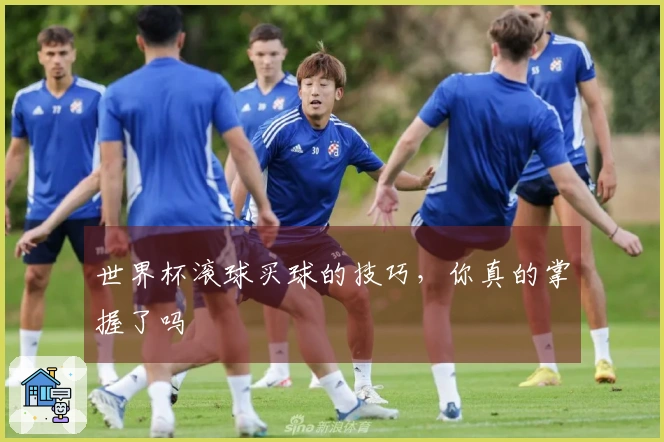 世界杯滚球买球的技巧，你真的掌握了吗