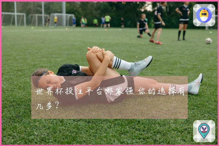 世界杯投注平台哪家强 你的选择有几多？