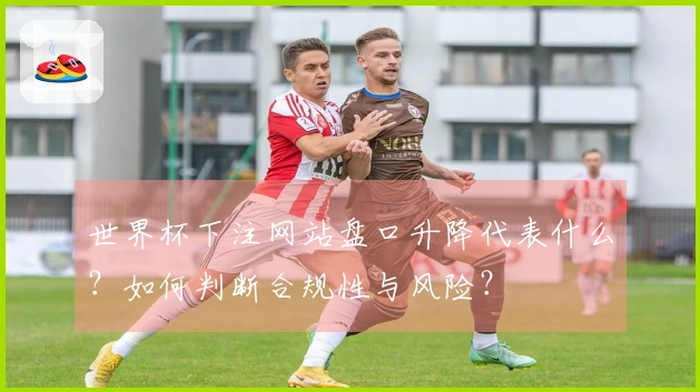 世界杯下注网站盘口升降代表什么？如何判断合规性与风险？