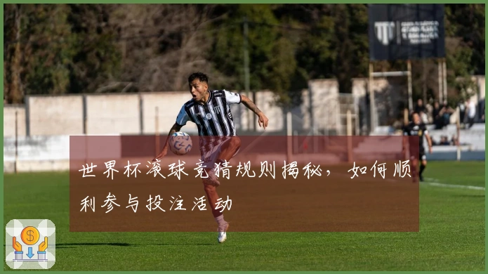 世界杯滚球竞猜规则揭秘，如何顺利参与投注活动
